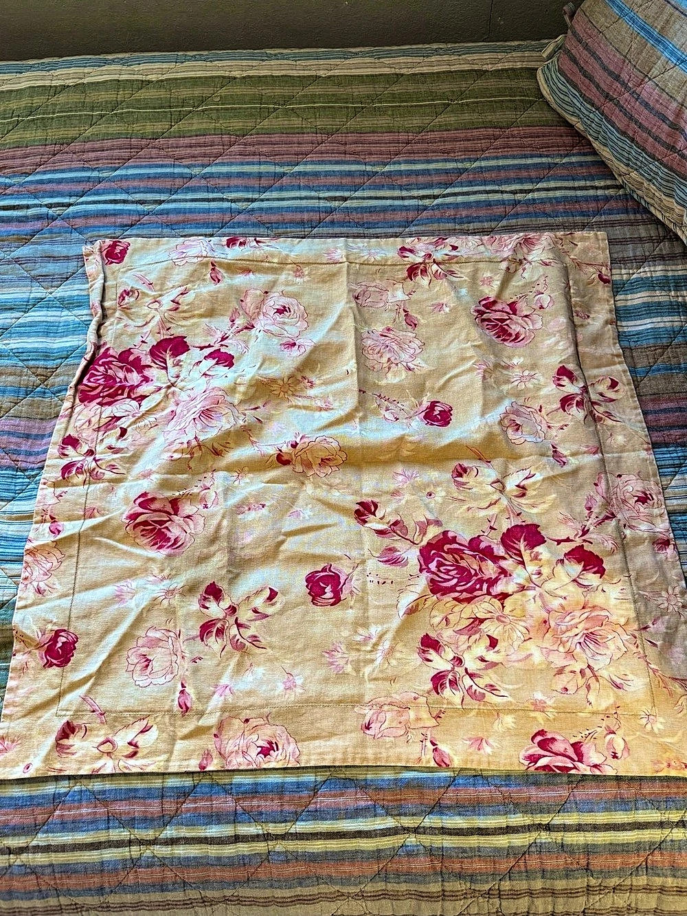 Pottery Barn Manchester Rose Set/2 Euro Shams